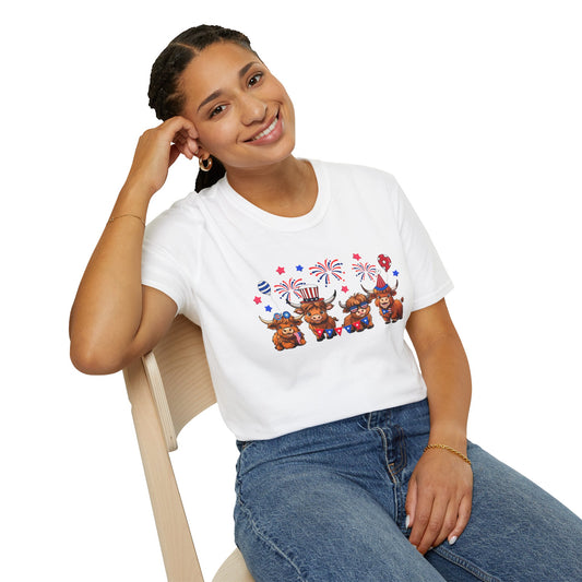 Festive Graphic T-Shirt, Independence Day Shirt, Casual Summer Style, Unisex Tee, Holiday Celebration Wear, Fireworks Design