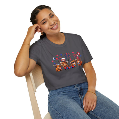 Festive Graphic T-Shirt, Independence Day Shirt, Casual Summer Style, Unisex Tee, Holiday Celebration Wear, Fireworks Design
