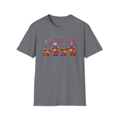 Festive Graphic T-Shirt, Independence Day Shirt, Casual Summer Style, Unisex Tee, Holiday Celebration Wear, Fireworks Design